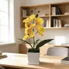 Orquídea Phalaenopsis Artificial Planta Decorativa em Vaso Ecológica Grande Orquídea Phalaenopsis Artificial de 5 Flores Decoração de Pousada Orquídea Phalaenopsis Artificial