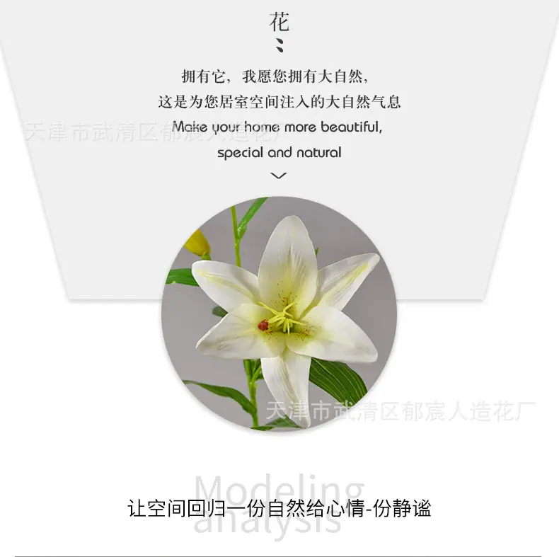 详情_05.jpg
