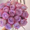 Mudas de Rosa, Trepadeiras, Mudas Pequenas, Frutíferas, Rosas Floridas para Varanda, Plantas em Vasos para Interior, Fácil de Cuidar em Todas as Estações, Flores, Rosas, Plantas Verdes