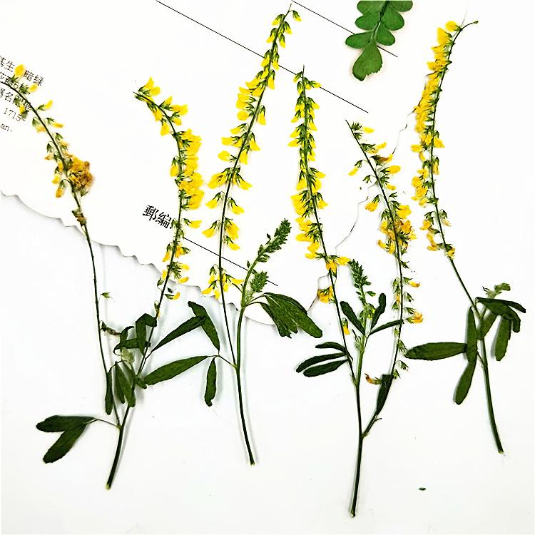 IMG20190914152856.jpg