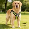 Essenciais para Passear com o Cachorro: Coleira Peitoral Refletiva Respirável para Cães Médios e Grandes como Golden Retrievers, Atacado