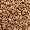 Guizhou Xiangsha Ren 0,5kg Atacado Maosharen 500g Xiangsha Ren para Cozinhar Carne, Yangchun Sha Ren para Pratos Cozidos, Especiarias, Pimenta de Sichuan