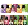 Óleo essencial de planta de rosa de artemísia Hanji 10ml salão de beleza raspagem corporal massagem óleo essencial composto atacado de fábrica