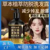 Shampoo Personalizado Anti-Queda Refrescante Cabelos Lisos Grande Capacidade Controle de Oleosidade Volumizante Nutritivo Shampoo de Gengibre Atacado
