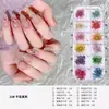 Nuevo material de flor seca para arte de uñas serie Monet de 12 compartimentos, popular en línea, kit de decoración de uñas de flor genuina, venta al por mayor
