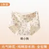 Cueca Boxer Feminina 10A Algodão Puro Antibacteriano Cintura Média-Alta Algodão Penteado Ensolarado Gancho Estendido Respirável Sem Apertar no Gancho