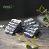 Escada, degraus, curva, escadinha, terrário de musgo, materiais de paisagismo DIY, acessórios decorativos, pequenos enfeites