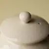 Tetera de Cerámica Hecha a Mano Creativa con Grabado, Tetera Vintage de Ceniza de Madera para Uso Doméstico, Juego de Té Kung Fu con Filtro, Tetera Individual