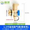 Válvula de Drenaje de Calentamiento Totalmente Automática Válvula de Escape de Latón Distribuidor de Agua Tubería de Agua Potable de 1 Pulgada Fabricante Válvula de Drenaje Venta al por Mayor