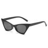 Productos de fábrica 2020 nuevas gafas de sol ojo de gato personalizadas con estampado de leopardo gafas de sol de tendencia europea y americana gafas de sol de calle transfronterizas