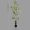 Planta Verde Grande de Simulación para Piso Pera Huanghua en Maceta Mueble para el Hogar Decoración de Interiores Árbol de Simulación Plantas de Viento Silencioso