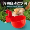 Bebedero para Pollos Bebedero Automático para Aves de Corral Patos Gansos Palomas Bebedero para Pollitos Bebedero de Agua para Pollitos Codornices