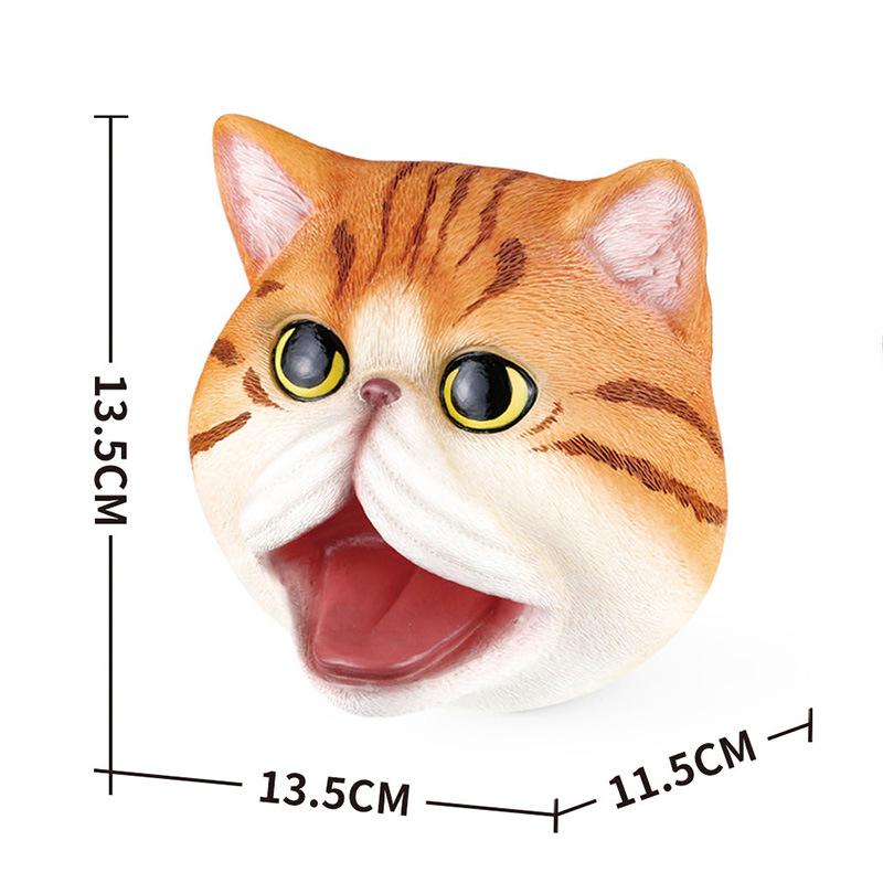 X326异国短毛猫