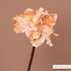 Clívia Artificial de PU de Alta Qualidade, Amarílis de Haste Única, Flores Vintage para Casamento, Adereços de Fotografia, Decoração de Casa, Flores Artificiais