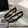 Sapatos Mary Jane Estilo Chanel Retrô para Mulheres, Novos Sapatos Franceses de Tira Única 2026, Elegantes e Versáteis para o Dia a Dia, Sapatos de Bico Baixo