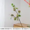 5 ramas artificiales de kiwi para decoración de escaparates, con ramas elegantemente escalonadas y que se pueden combinar en múltiples arreglos.