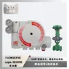 Posicionador de Válvula Flowserve Logix 3200Md con Válvula de Control Fisher Ez