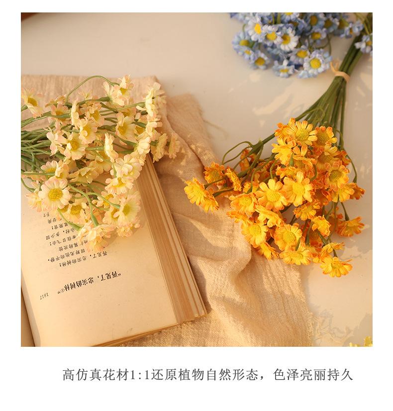 布拉格6枝扎小雏菊_11.jpg