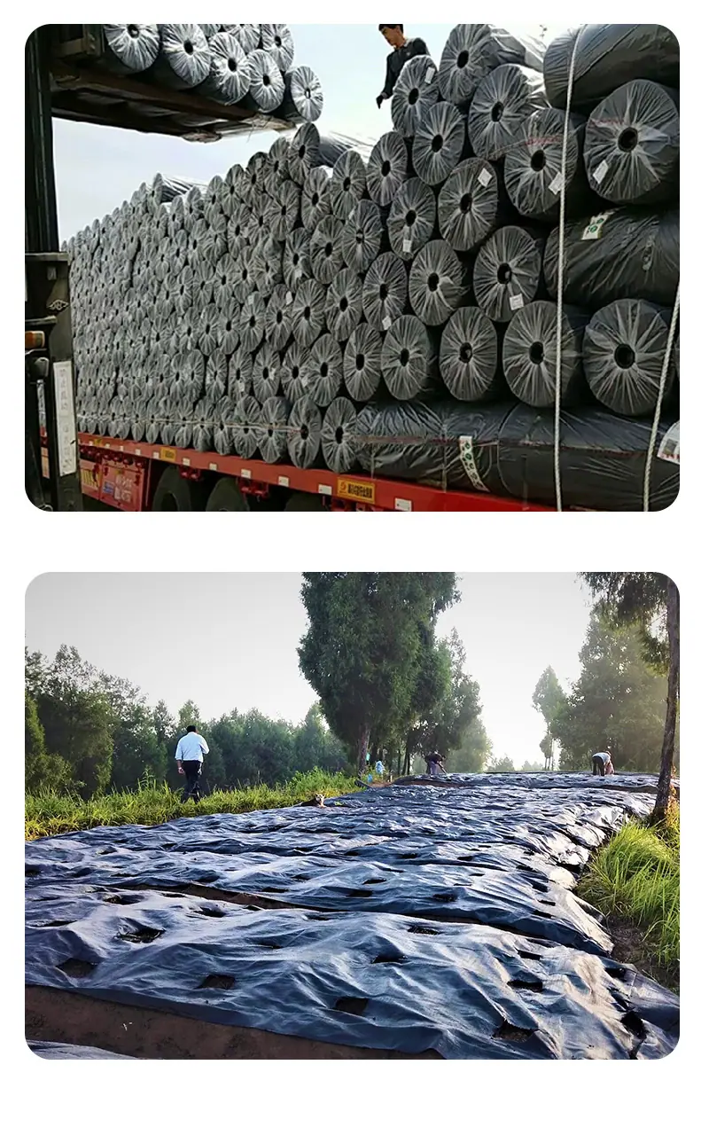 防草布详情_10