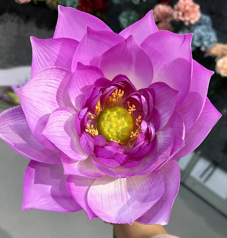 单支吉祥荷花-紫色.jpg