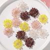 Elegante horquilla de pelo con cuentas tejidas a mano con flores de cristal personalizadas de Corea del Sur, accesorios para el cabello, pendientes, material femenino al por mayor