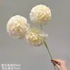Cor champanhe coreano estilo flores artificiais de fundo de auditório de casamento guia rodoviário arranjo de flores decoração flores de seda falsas fabricantes por atacado