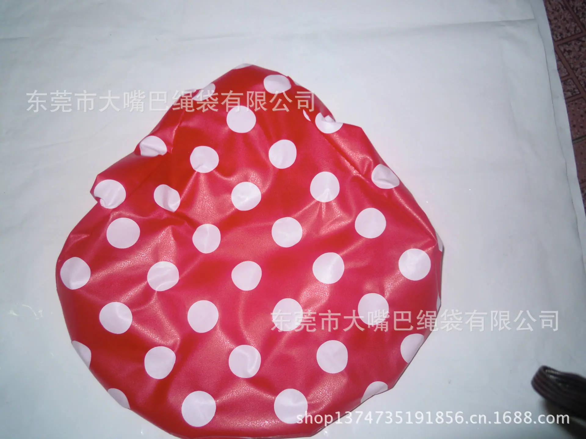 DSCN0099