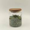 Frasco Hermético de Vidrio de Alto Borosilicato con Tapa de Madera de Acacia para Té, Dulces, Granos, Snacks, Botella de Almacenamiento a Prueba de Humedad y a Prueba de Insectos