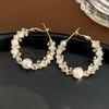 Brincos de Cristal de Zircônia Pérola de Luxo Leve Europeus e Americanos Design de Nicho Brincos de Argola de Alta Qualidade Brincos da Moda para Mulheres