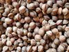 Material de Tallado de Hueso de Durazno con Patrón de Dragón Poco Profundo de Qinzhou Silvestre, Artículos Uniformes Sin Importar el Tamaño, el Tipo de Núcleo y el Color Son Aleatorios, Tenga Cuidado al Comprar