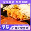 Cangrejos Peludos Frescos Vivos al por Mayor y Entrega, Compra Grupal de Caja de Regalo de Festival de Medio Otoño, Agente de Franquicia de Cangrejos Peludos de Suzhou con Garantía Postventa