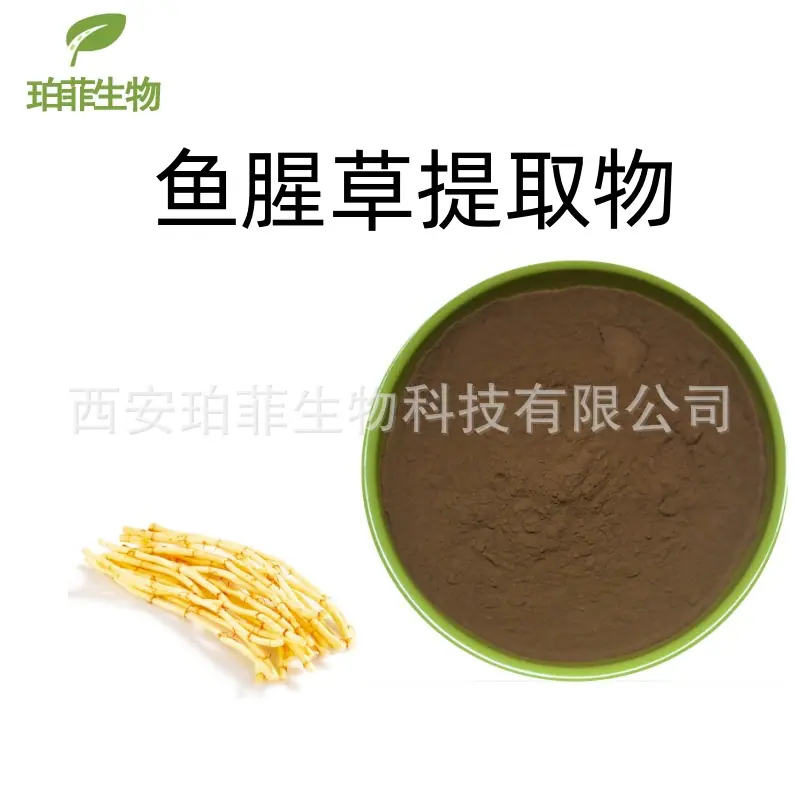 鱼腥草
