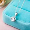 Inscrição da coroa Joias de prata Pingente de flor de rosa de prata esterlina s925 Colar de diamante único estilo coreano feminino Corrente de clavícula vintage