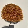 Flor Eterna Folha Pequena Hortênsia Anna Flor Seca Flor Real Estilo Escandinavo Props para Fotos Ins Buquê de Casamento Pronto Decoração