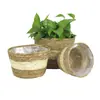 Vasos de Flores Tecidos de Algas Naturais Estilo Europeu, Plantas de Rotim, Plantas Verdes, Cestas de Flores para Decoração de Casa de Madrinhas, Cestas de Armazenamento