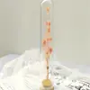 Decoraciones Rama Única Embalaje de Cartón Lujo Ligero Nórdico Tubo de Ensayo de Flor Seca Interior Hecho a Mano Adornos Decoraciones Regalo