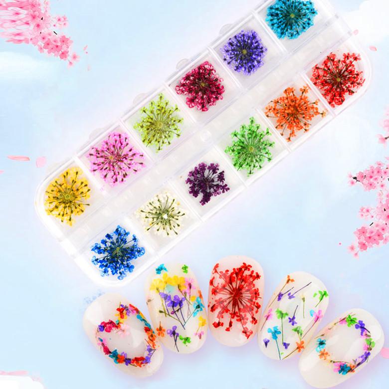 12-Colors-DIY-Nail-Art-Mixed-D