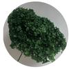 Flores Preservadas que Não Murcham Yunnan Grau A Hortênsia Eterna Atacado 23-35cm Folhas Pequenas Coloridas