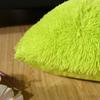 Stock Disponible Dropshipping Peluche Color Sólido León Marino Terciopelo Respaldo de Sofá Supermercado Extranjero Cojín Cuadrado Cojín de Cuero