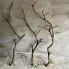 Rama seca leño bifurcación arte rama seca rama muerta tronco madera muerta forma posadero de pájaros colgante de pared perchero rama de techo decoración