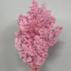 Materiales para Ramo de Fuegos Artificiales Pino Penglai Eterno Ramas Cortas Ramas Largas Materiales Hechos a Mano Arreglo de Ramo Floral