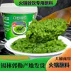 Barril Grande de Molho de Flor de Cebolinha Comercial, Molho de Flor de Cebolinha Fresca Produzido na Pastagem, Macarrão da Mongólia Interior, Molho de Flor de Cebolinha, Molho para Fondue