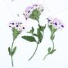 Flor de Cerezo Seca con Ramas, Material de Flor en Relieve, Espécimen de Planta de Flor Real DIY Hecho a Mano, Separador de Libros en Relieve, Calcomanía Facial