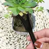 Trasplantador de plantas suculentas, perforador de agujeros, herramienta de jardinería, levantador de plántulas para macetas de plantas verdes, dispositivo para plantar, trasplantar y cambiar la tierra