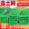 Rede à prova de poeira para canteiro de obras, rede de cobertura de solo, grade de sombreamento verde criptografada, cobertura de areia, rede de cobertura de carvão