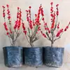 Flor de Ciruelo Fragante en Maceta Flor de Tocón Viejo Planta de Interior Todo el Año Fácil de Cultivar Bonsái de Ciruelo Rojo Plántula de Ciruelo Verde Semillas de Flor de Dulzura Invernal