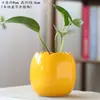 Cuenco Maceta de loto Maceta de cerámica Maceta suculenta Maceta de gran diámetro sin orificio Maceta hidropónica para plantas verdes Maceta especial Maceta doméstica Jarrón grande