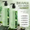 Shampoo Refrescante e Volumoso Folha de Platycladus Aloe Vera Baizhentang Atacado Cabelo Refrescante, Volumoso e Liso Cuidado Capilar Sedoso