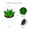 Más de 100 Tipos de Combinaciones de Plantas Suculentas Mini de Plástico Simuladas en Maceta, Mini Bonsáis Suculentos Más Vendidos Transfronterizos, Decoración para el Hogar, Adornos Creativos