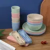 Conjunto de Talheres Amazon de Palha de Trigo 16 Peças Estilo Nórdico Tigela, Prato, Copo, Faca, Garfo e Colher